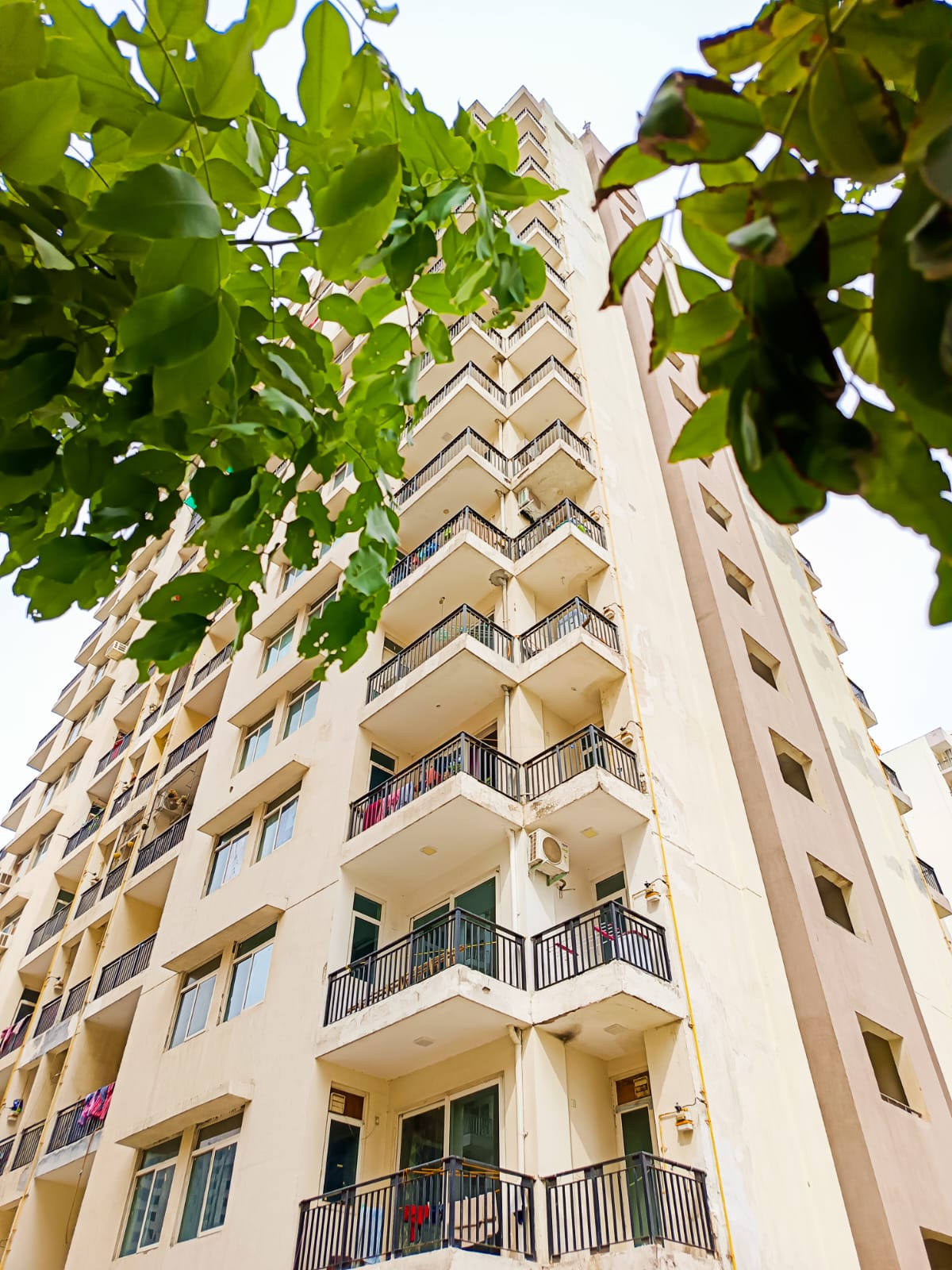 Sikka Karnam Greens